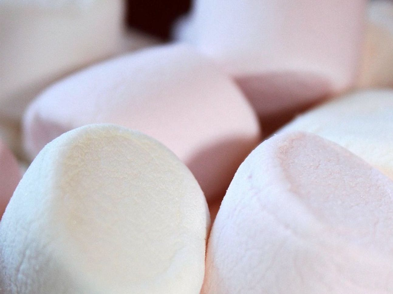 Mini treats in bite-sized portions